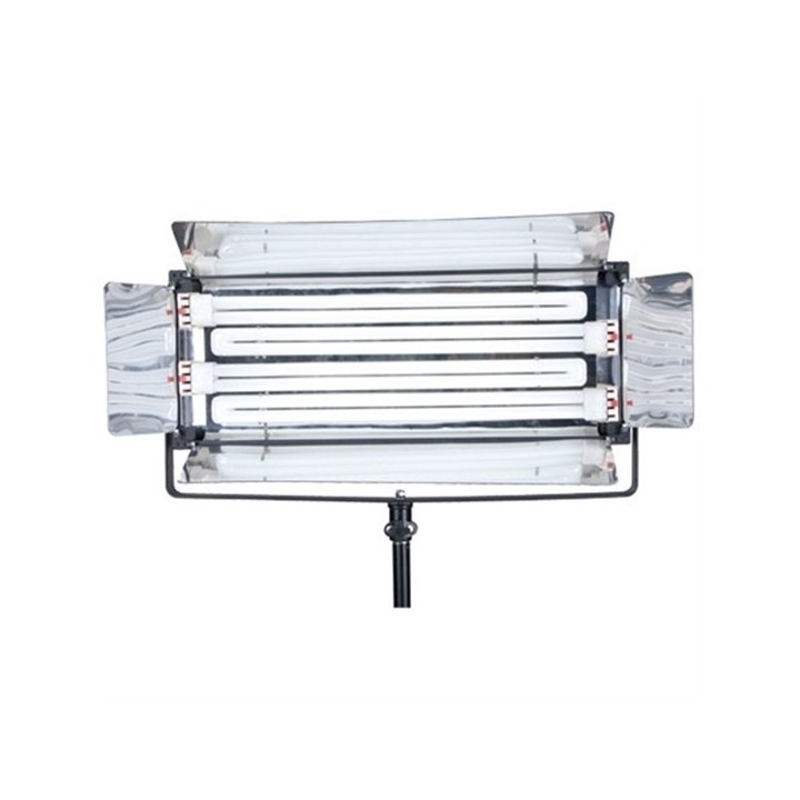 Fluorescent Light 220W (4x55W)