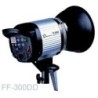 Flash 300W
