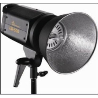 Quartz Light 500W