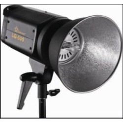 Quartz Light 500W