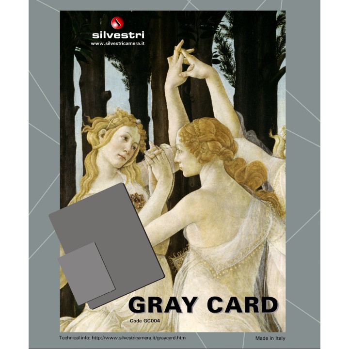 Cartoncino Grigio Silvestri
