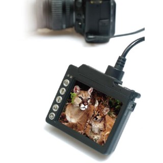 Zigview S2 Live LCD Display