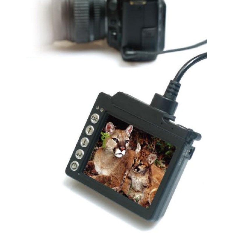 Zigview S2 Live LCD Display